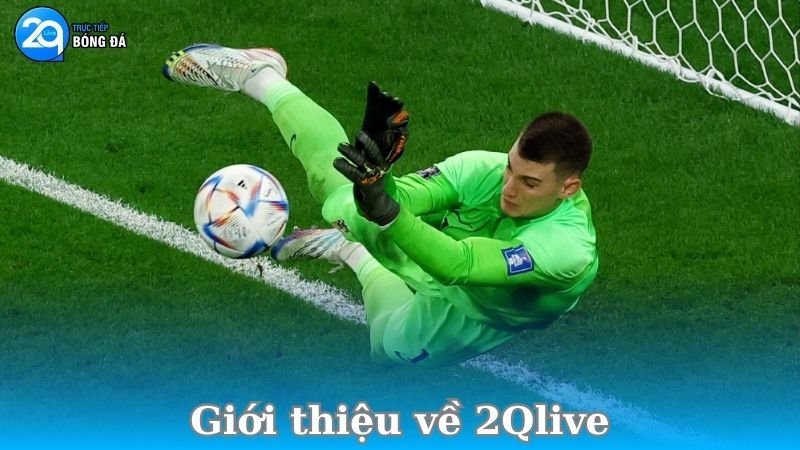 gioi-thieu-ve-2qlive